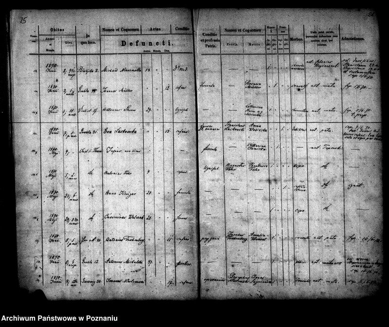 Obraz 15 z jednostki "Księga zgonów"