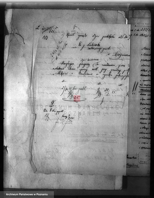 Obraz 14 z jednostki "Majętność leśna /Bronie wiec/ powiat mogileński"