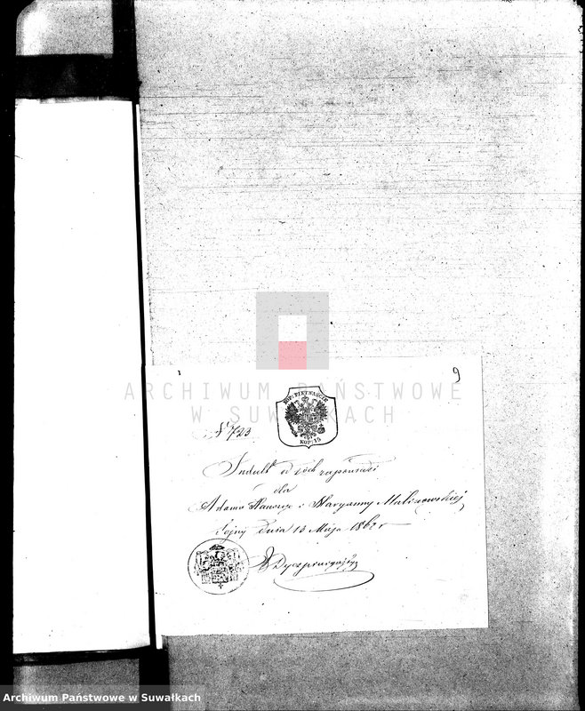 Obraz 13 z jednostki "Annexa do Akt Zaślubionych parafii Sejneńskiej z roku 1868 r."