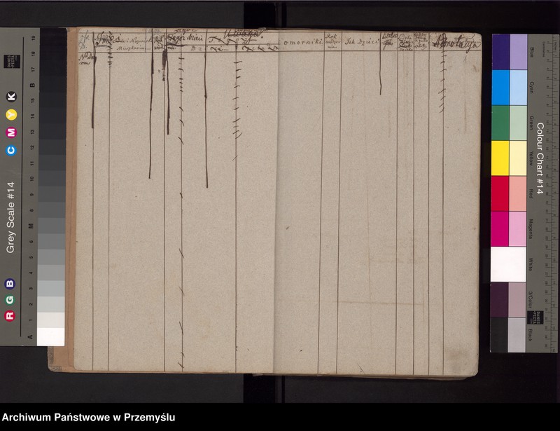 Obraz z jednostki "[Spis mieszkańców - miasto]"