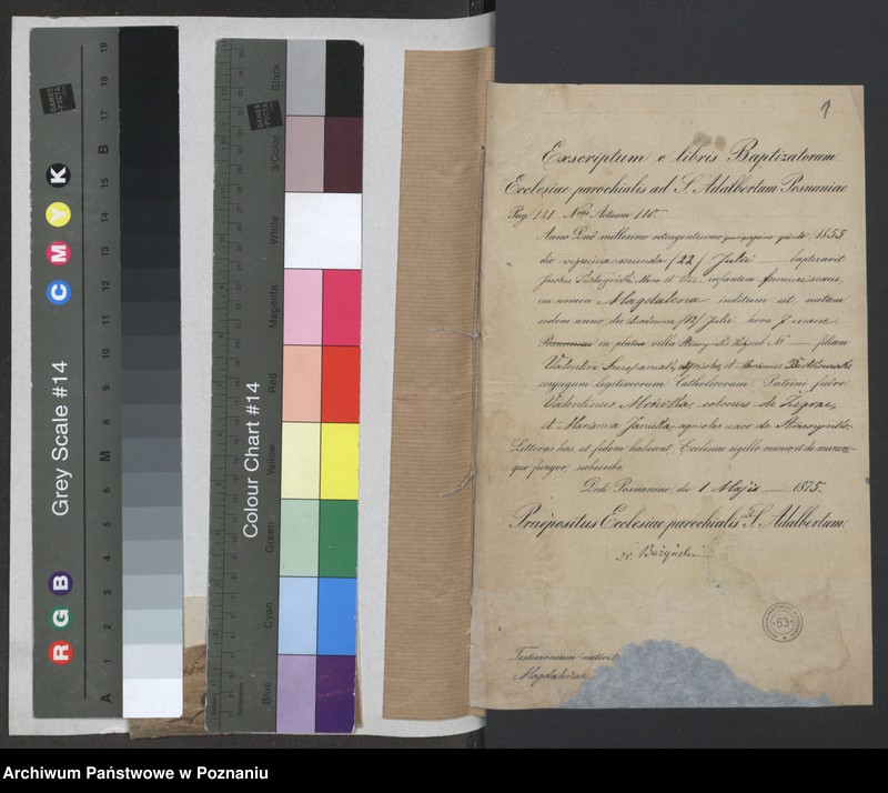 Obraz 3 z jednostki "Die von den Verlobten beigebrachten Urkunden zur Eheschliessung pro 1878"