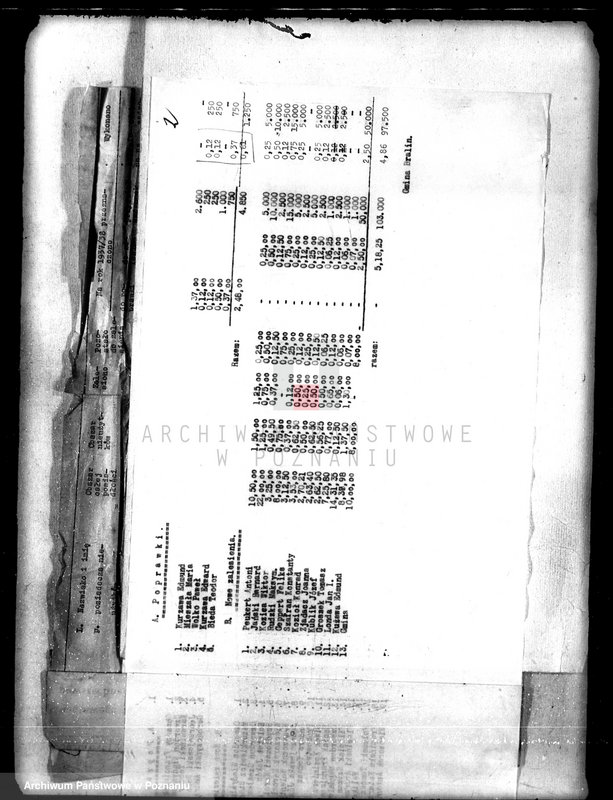 Obraz 6 z jednostki "/Sprawozdania z zalesienia nieużytków na terenie powiatu kępińskiego"