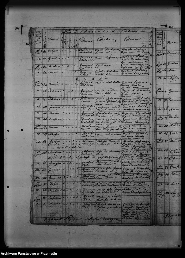 Obraz 8 z jednostki "[Kopie ksiąg metrykalnych parafii Nowosiółki Gościnne z filiami Dołobów, Wistowice (dekanat Rudki)]"