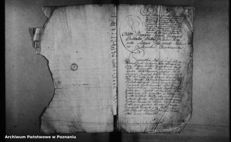 Obraz 6 z jednostki "Decreta officii [protocollon]"