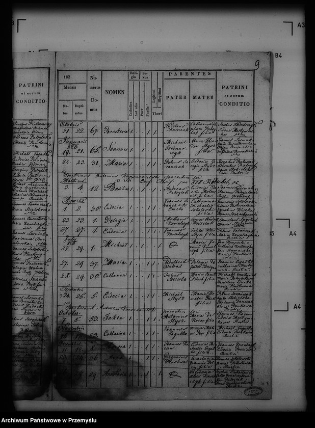 image.from.unit.number "[Kopie ksiąg metrykalnych parafii Pielnia z filiami Dudyńce, Pobiedno, Jędruszkowice, Markowice, Podgaj (dekanat Buków)]"