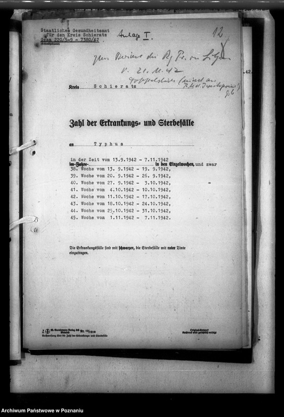 Obraz 16 z jednostki "Typhus"