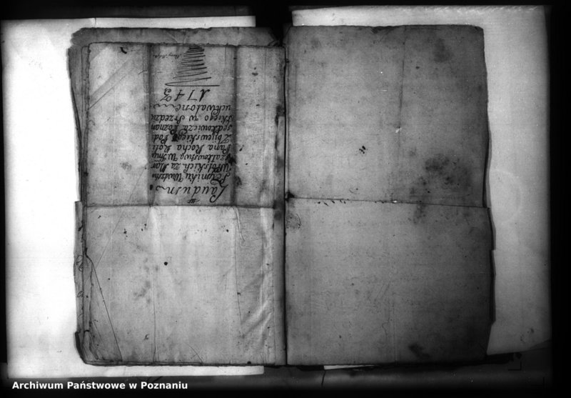 Obraz 7 z jednostki "Lauda [acticantia]"