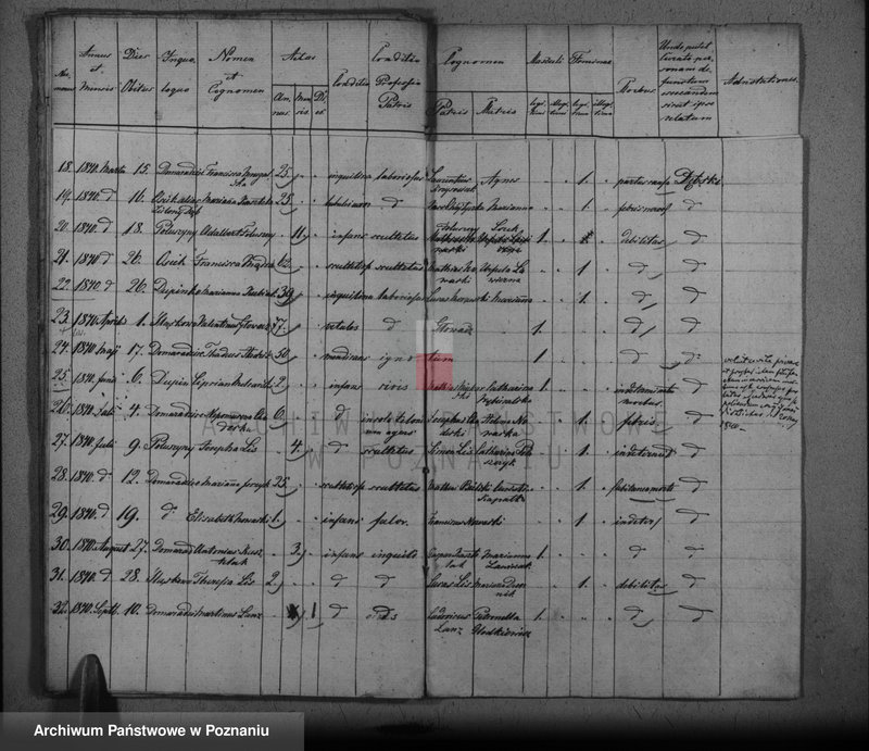 image.from.unit.number "Duplikat baptisatorum, copulatorum, mortuorum"