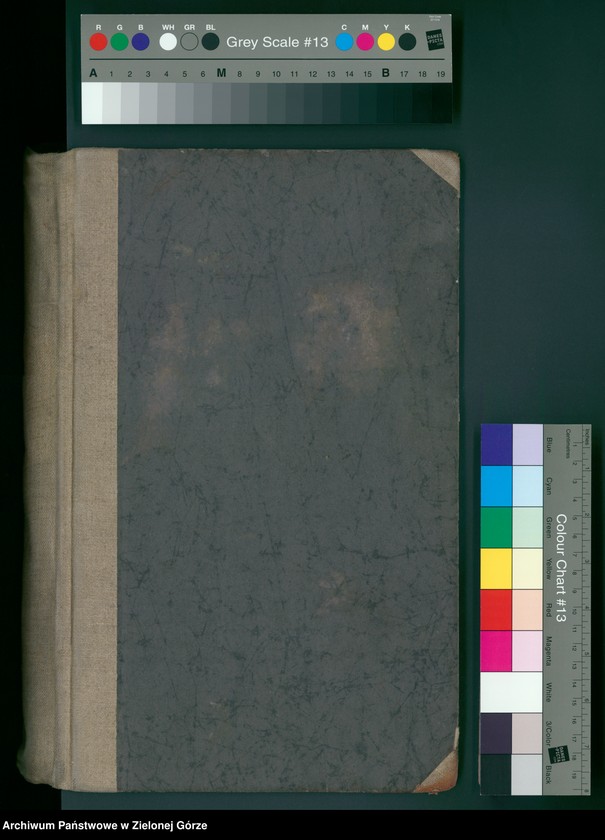 image.from.unit.number "[Księga chrztów parafii ewangelickiej w Gozdnicy 1871 - 1884]"