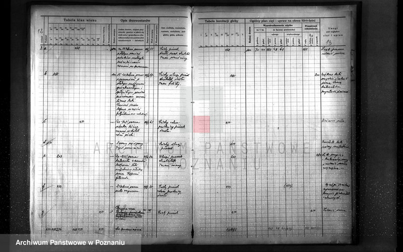 image.from.unit.number "Plan urządzenia gospodarstwa leśnego dla lasu majętności Otto Qiurama w gminie Piotrowo powiat szamotulski"