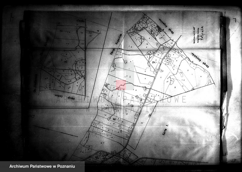 Obraz 13 z jednostki "Przewłaszczenie ziem dotacyjnych Kopanica-Starężynek powiat wągrowieckiego"
