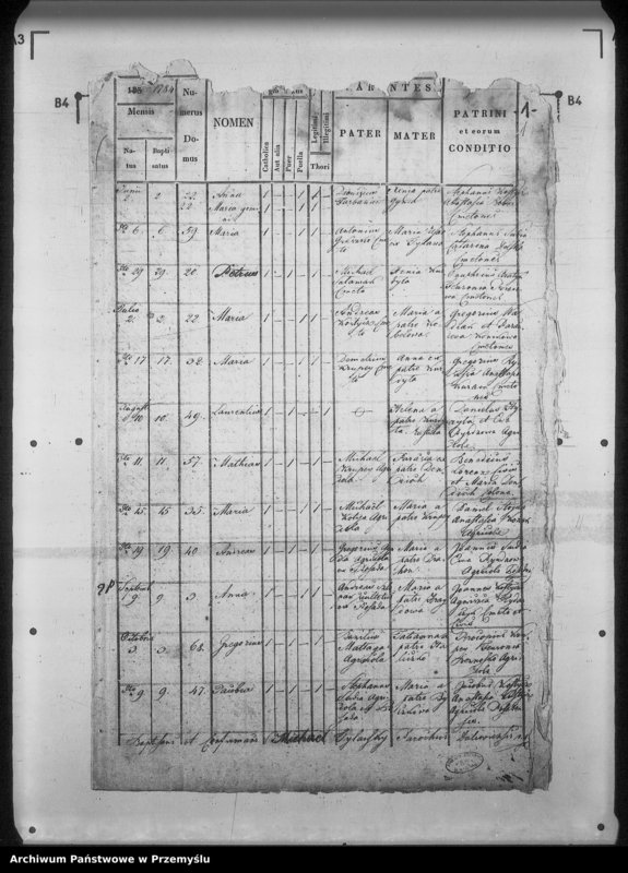 Obraz 5 z jednostki "[Kopie ksiąg metrykalnych parafii Daliowa z filią Szklary (dekanat Rymanów)]"