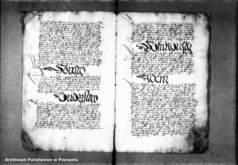 Obraz 11 z jednostki "Inscriptiones, relationes, decreta [inducta]"