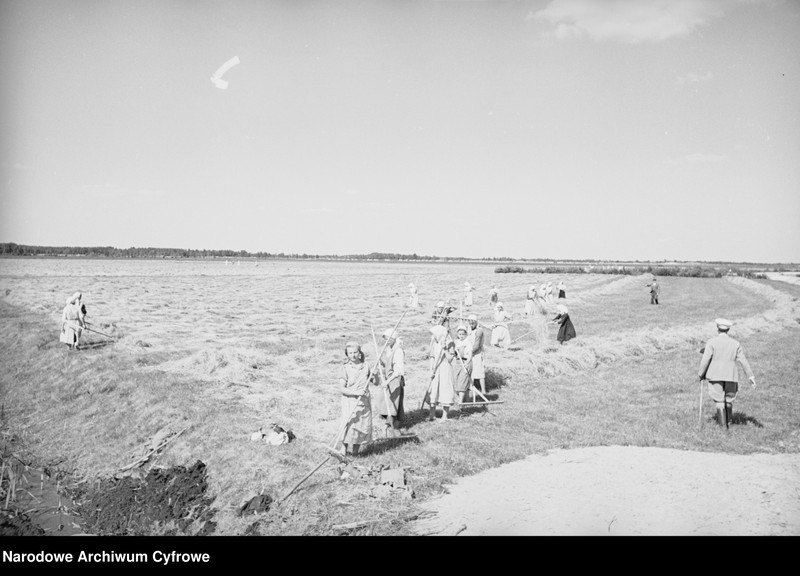 image.from.unit.number "Rolnictwo. Łąki, sianokosy"