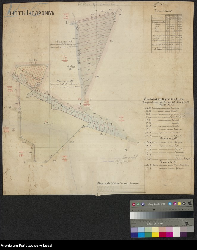 Obraz 1 z jednostki "Pl´an zemel´ postupivšich v sobstvennost˝ krest´jan selenija Kodromb Novoradomskago uezda gminy Dmenin"