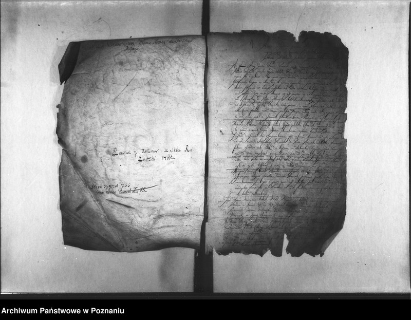 Obraz 4 z jednostki "Iuramenta [protocollon]"