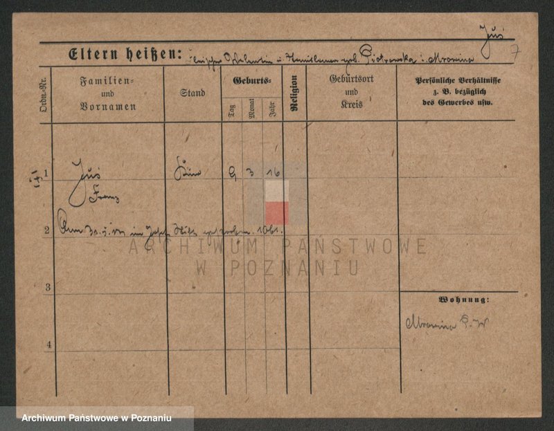 Obraz 7 z jednostki "Jus - Józefowicz"