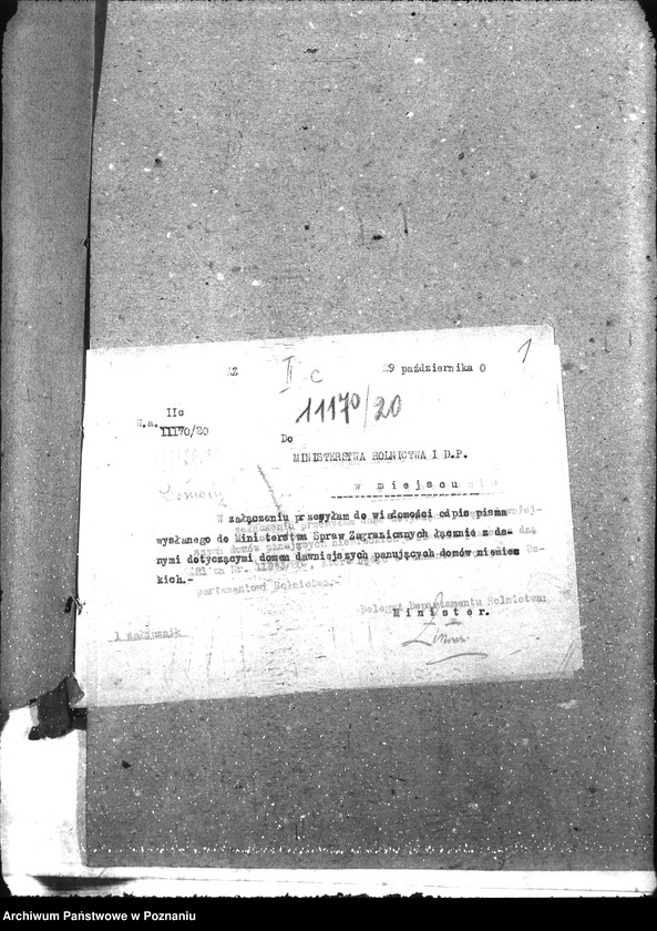 Obraz 5 z jednostki "Domeny"