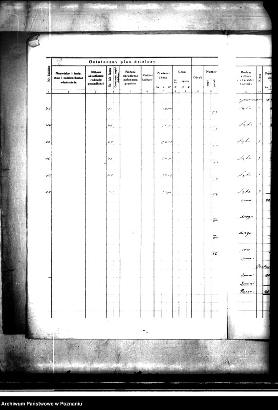 Obraz 18 z jednostki "Ostateczny plan dzielczy i nowy kataster majątku Trzcinica powiatu kępińskiego parcelacja prywatna"
