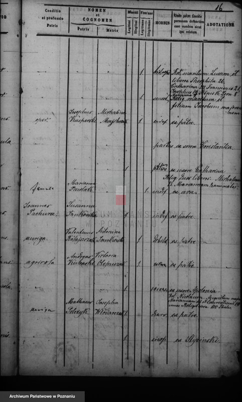 Obraz 19 z jednostki "Duplikat baptisatorum, copulatorum, mortuorum"