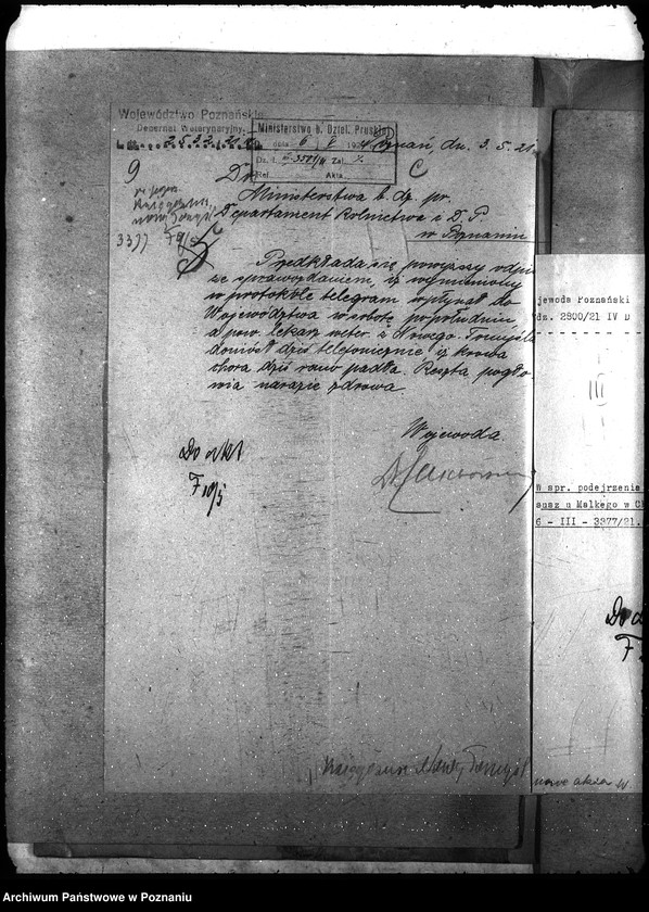 Obraz 13 z jednostki "Księgosusz - Nowy Tomyśl"