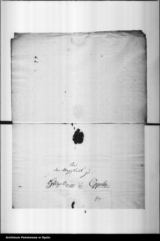 Obraz 10 z jednostki "Acta des Magistrats zu Oppeln von Anstellung der Saltz Inspectors und Saltzbeamten"