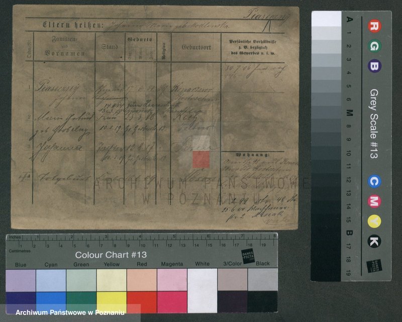 Obraz 3 z jednostki "Piaseczny - Piątkowiak"