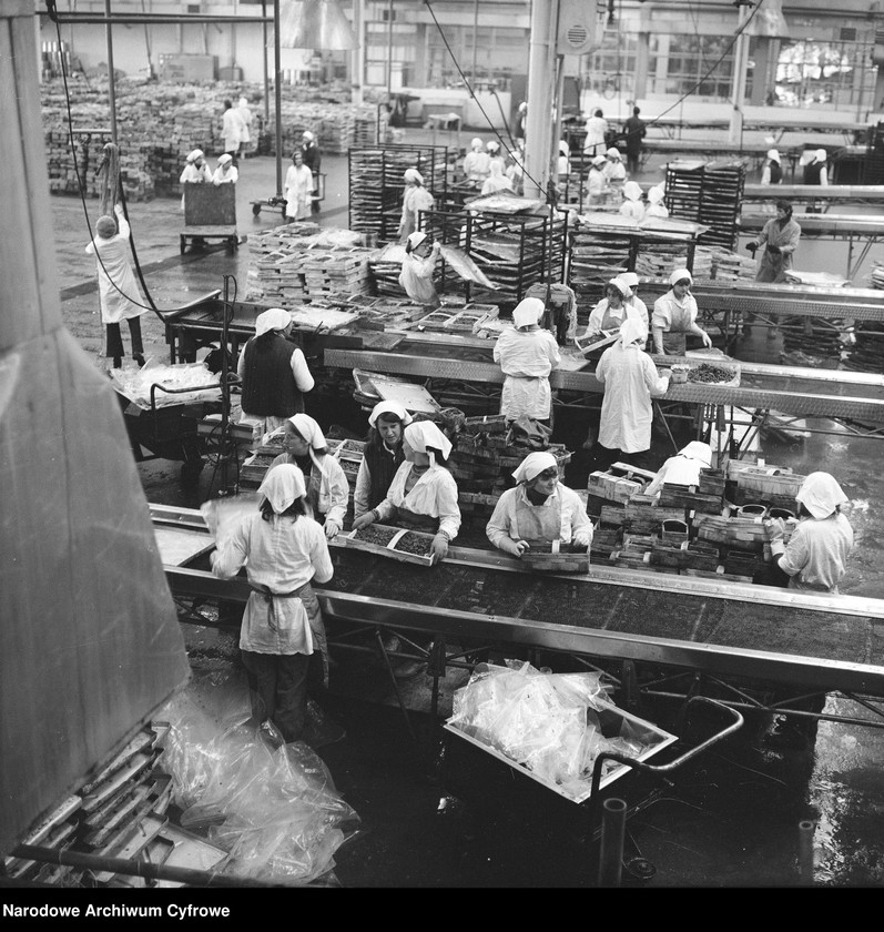 Obraz 2 z jednostki "Zakład produkcyjny Przedsiębiorstwa Handlu Zagranicznego "Hortex" w Płońsku"