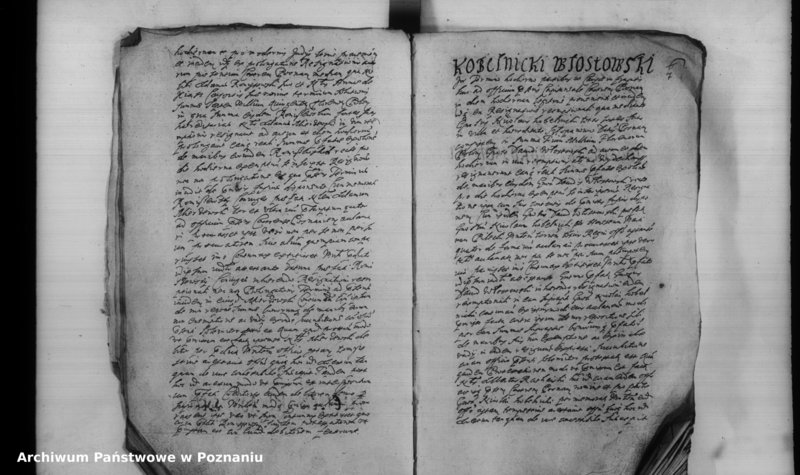 Obraz 10 z jednostki "Inscriptiones [inducta]"