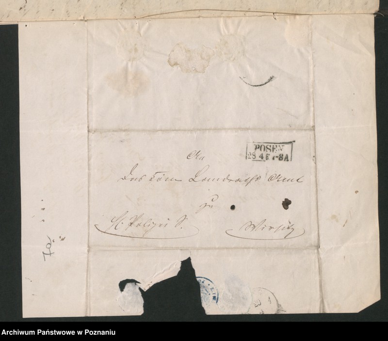 Obraz 11 z jednostki "A. betr. Familie von Koczorowski"