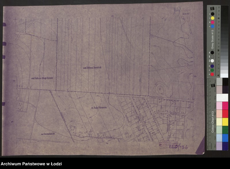 Obraz 1 z jednostki "Plan miasta Łodzi. Sekcja SW 64"