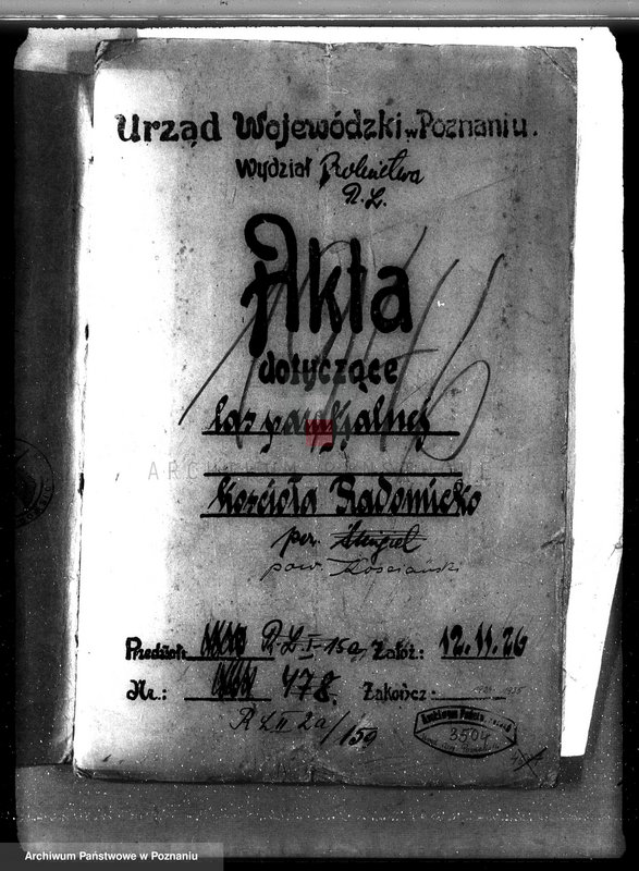 Obraz 4 z jednostki "Las parafialny kościoła w Radomicku powiat kościański"