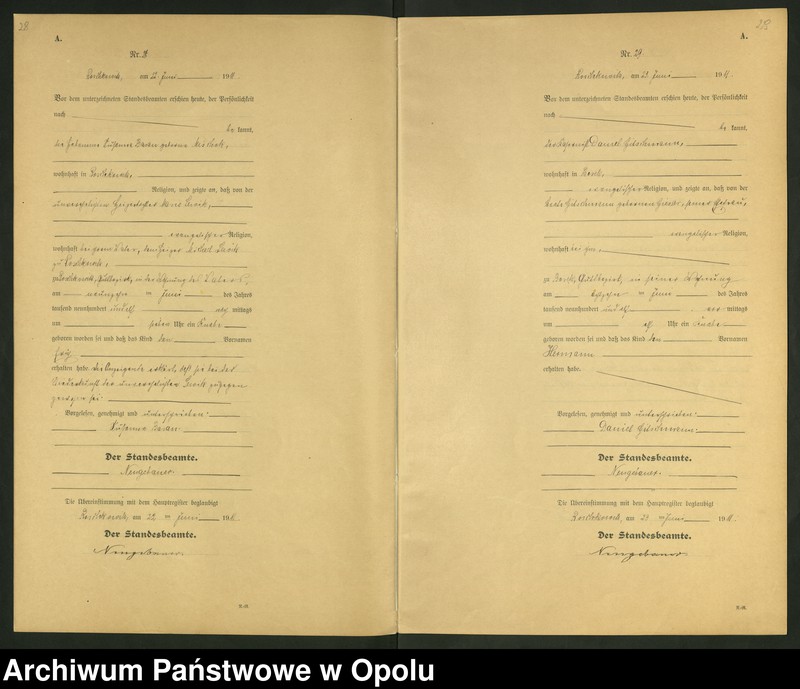Obraz 17 z jednostki "Geburts-Register (Neben-Register) Standesamt Roschkowitz 1911 No.1 bis 49"