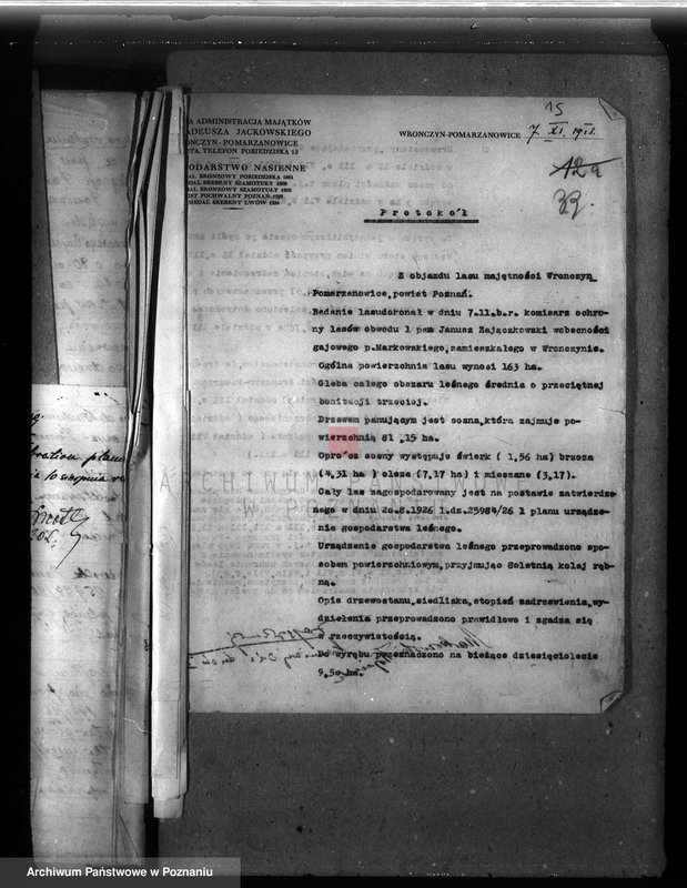 Obraz 18 z jednostki "Majętność leśna Wronczyn-Pomarzanowice powiat poznański"