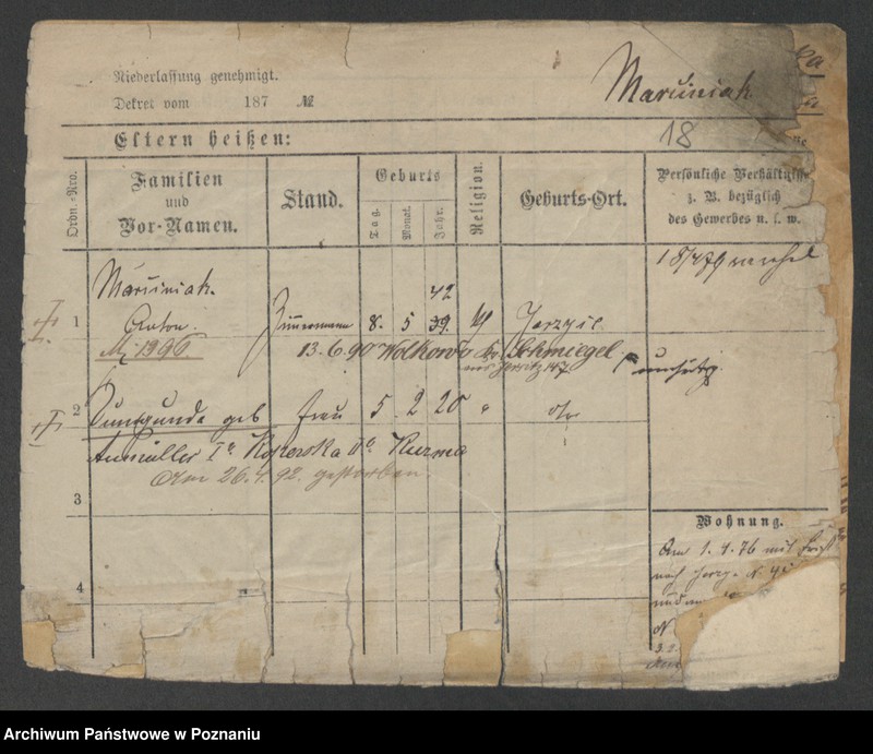 Obraz 20 z jednostki "Marciniak (żonaci i wdowy)"