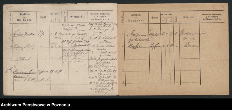 Obraz 7 z jednostki "Dreger - Drobniczak"