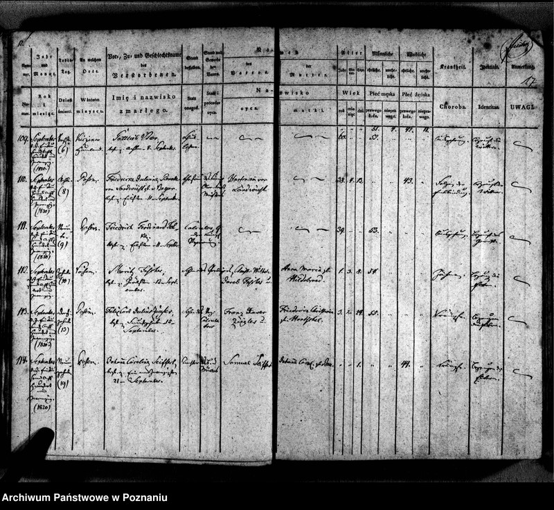 Obraz 20 z jednostki "Sterbenbuch"