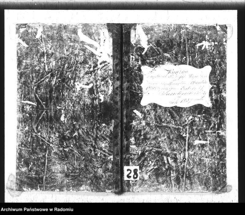 Obraz 2 z jednostki "Książka Duplikat Parafii Wysoka w powiecie Szydłowieckim Obwodzie Opoczyńskim Gubernij Sandomierskiej rok 1837 sporządzona"