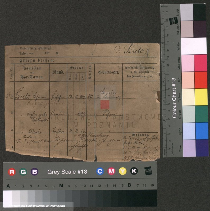 Obraz 5 z jednostki "Szulc (żonaci od Kazimierz do wdowy)"