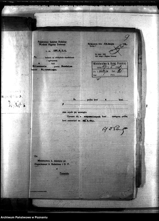 Obraz 14 z jednostki "Nosacizna - Brodnica"