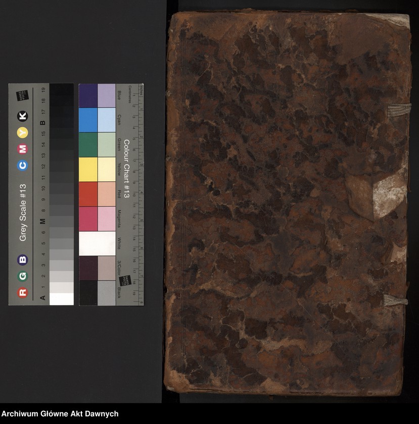 image.from.unit.number "Rejestry poborowe woj. ruskiego."