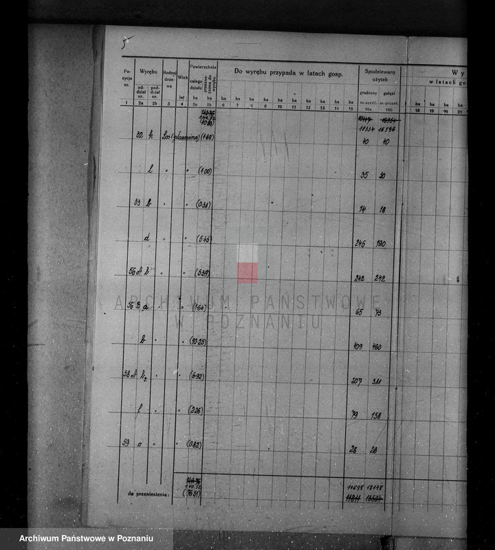 Obraz 11 z jednostki "/Nadzór nad gospodarką leśną w majątku Krucz-Goraj w powiecie czarnkowskim Nadleśnictwo Goraj/"
