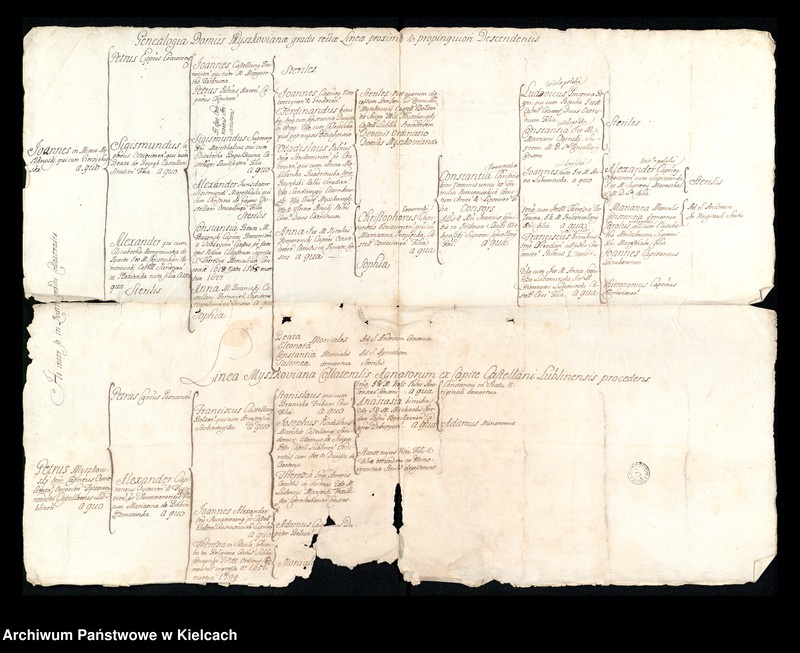 Obraz 11 z kolekcji "Mapy genealogiczne Myszkowskich, Wielopolskich, wraz z opisem początku Ordynacji"