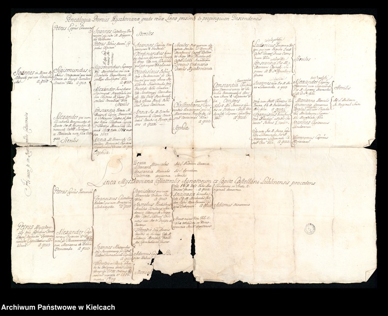 image.from.unit.number "Mapy genealogiczne Myszkowskich, Wielopolskich, wraz z opisem początku Ordynacji"