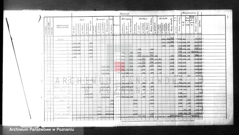 Obraz 6 z jednostki "Rejestr i plan zasiewów i upraw majątku Nadborowo w powiat żnińskim"