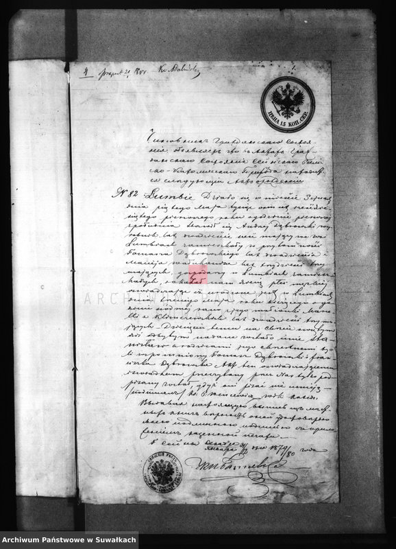 image.from.unit.number "Dokumenty Prisovokupljaemye k aktom Brakosočetanija 1880 goda R. Katoličeskago prichoda Beržniki"