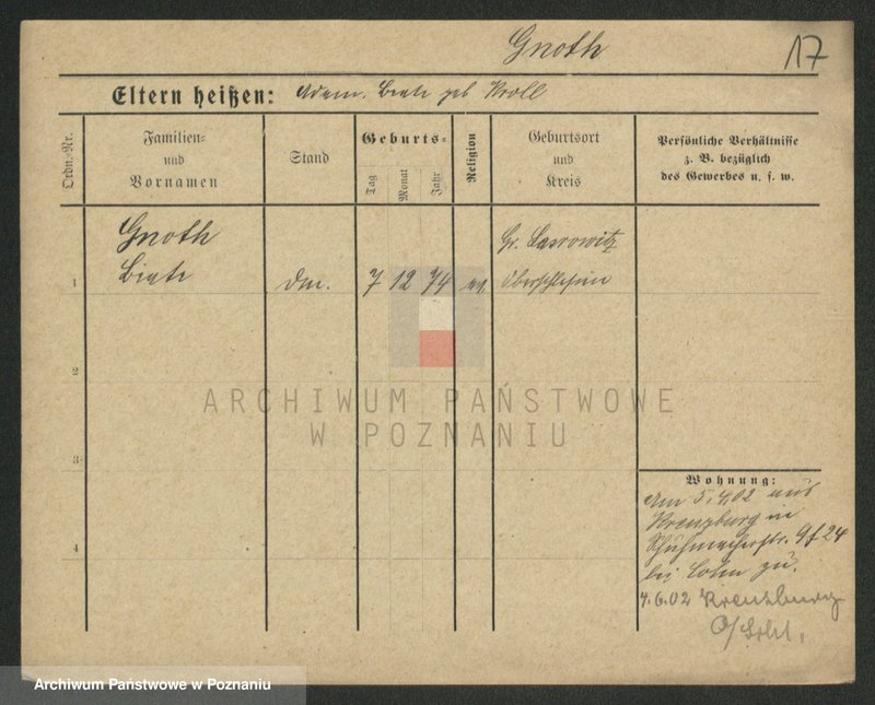 Obraz 19 z jednostki "Gnot - Gogulski"