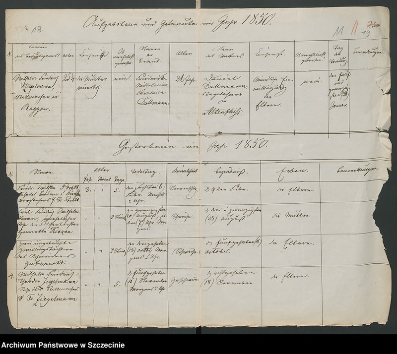 image.from.unit.number "Kirchenbuchsduplicate von Mellen [Mielno], Altenflies [Trzebawie] und Horst [Chwarstno]"