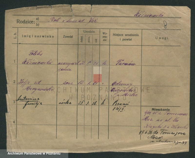 Obraz 19 z jednostki "Wiśniowiecki - Witczak"