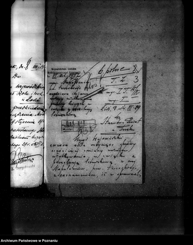 Obraz 7 z jednostki "Las majątku Napoleonów nr 1 własność Eweliny Wisłockiej powiat turecki"